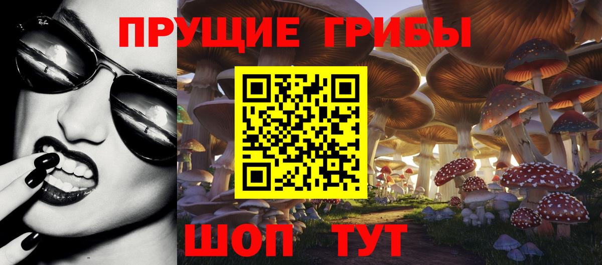 Псилоцибиновые грибы мицелий Москва